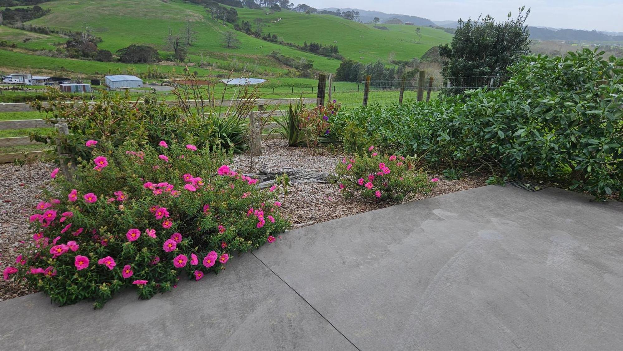 Bever Farm Waitoki Exterior photo
